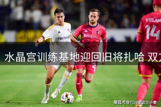 水晶宫训练基地迎回旧将扎哈 双方暂无意再续前缘